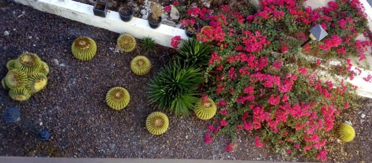 Appartement Beautiful 2 Bedroom Near Puerto Rico *